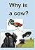 Why Is a Cow? by Allen Brown