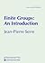 Finite Groups: An Introduction