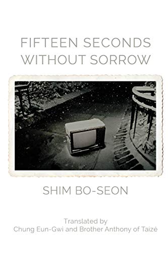 Fifteen Seconds without Sorrow (Paperback)