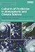 Cultures of Prediction in A...