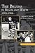 Bruins in Black and White by Robert A.   Johnson