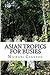 Asian Tropics for Busies