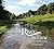 A River in Time by Christine Gregory