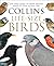 Collins Life-Size Birds: Th...