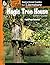 Magic Tree House Series: An Instructional Guide for Literature - Novel Study Guide for Elementary School Literature with Close Reading and Writing Activities (Great Works Classroom Resource)