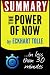 Summary of the Power of Now...