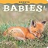 Dakota Babies! (Babies! (Farcountry Press))