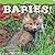 Fox Babies! (Babies! (Farcountry Press))
