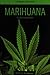 Marihuana, el camino a la legalizacion (Spanish Edition)
