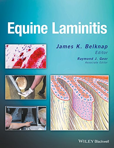 Equine Laminitis (Hardcover)