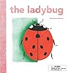 The Ladybug