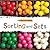 My First Maths: Sorting and Sets
