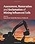 Assessment, Restoration and Reclamation of Mining Influenced Soils