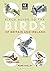 Field Guide to the Birds of Britain and Ireland