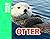 Otter (Wild World)