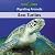 Sea Turtles (6) (Migrating Animals)