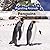 Penguins (4) (Migrating Animals)