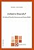 United in Diversity?: On Cultural Diversity, Democracy and Human Rights (Diversitas Book 16)