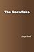 The Snowflake by George Turrell