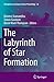 The Labyrinth of Star Formation (Astrophysics and Space Science Proceedings, 36)