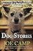 Dog Stories: Everything You...