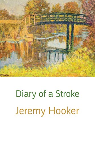 Diary of a Stroke (Paperback)