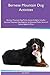 Bernese Mountain Dog Activi...