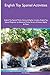 English Toy Spaniel Activit...