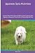 Japanese Spitz Activities J...
