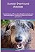 Scottish Deerhound Activiti...