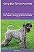 Kerry Blue Terrier Activities Kerry Blue Terrier Tricks, Game... by Sean Newman