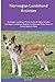 Norwegian Lundehund Activities Norwegian Lundehund Tricks, Ga... by Jack Clark