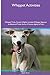 Whippet Activities Whippet ...