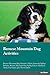 Bernese Mountain Dog Activities Bernese Mountain Dog Activiti... by Joe Gibson