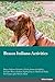 Bracco Italiano Activities Bracco Italiano Activities (Tricks... by Nicholas Kelly