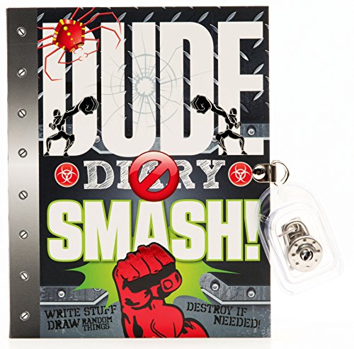 Dude Diary Smash (Paperback)