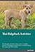 Thai Ridgeback Activities T...