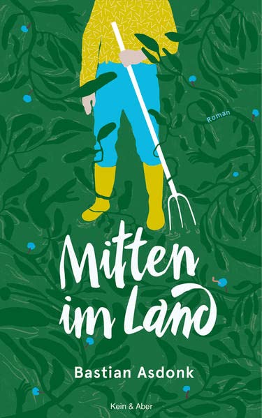 Mitten im Land (Hardcover)