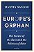 Europe's Orphan: The Future of the Euro and the Politics of Debt