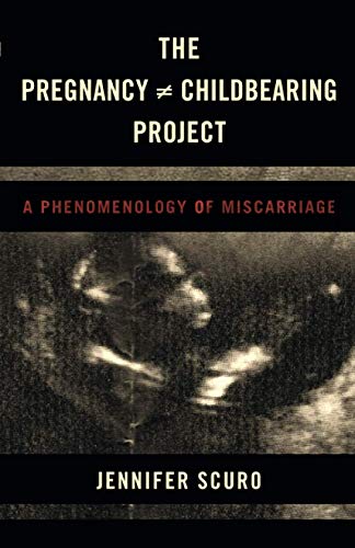 The Pregnancy Childbearing Project (Paperback)