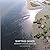 Shifting Sands by Catherine Seavitt Nordenson