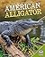 American Alligator (Back from Near Extinction)