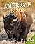 American Bison (Back from Near Extinction)