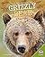 Grizzly Bear (Back from Near Extinction)