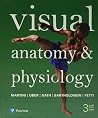 Visual Anatomy & ...