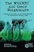 The WSANEC and Their Neighbours by Diamond Jenness