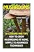 Mushrooms: 20 Lessons and T...
