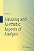 Amazing and Aesthetic Aspects of Analysis (Undergraduate Texts in Mathematics)