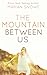 The Mountain Between Us