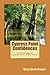 Cypress Point Confidences by Mary Beth Magee